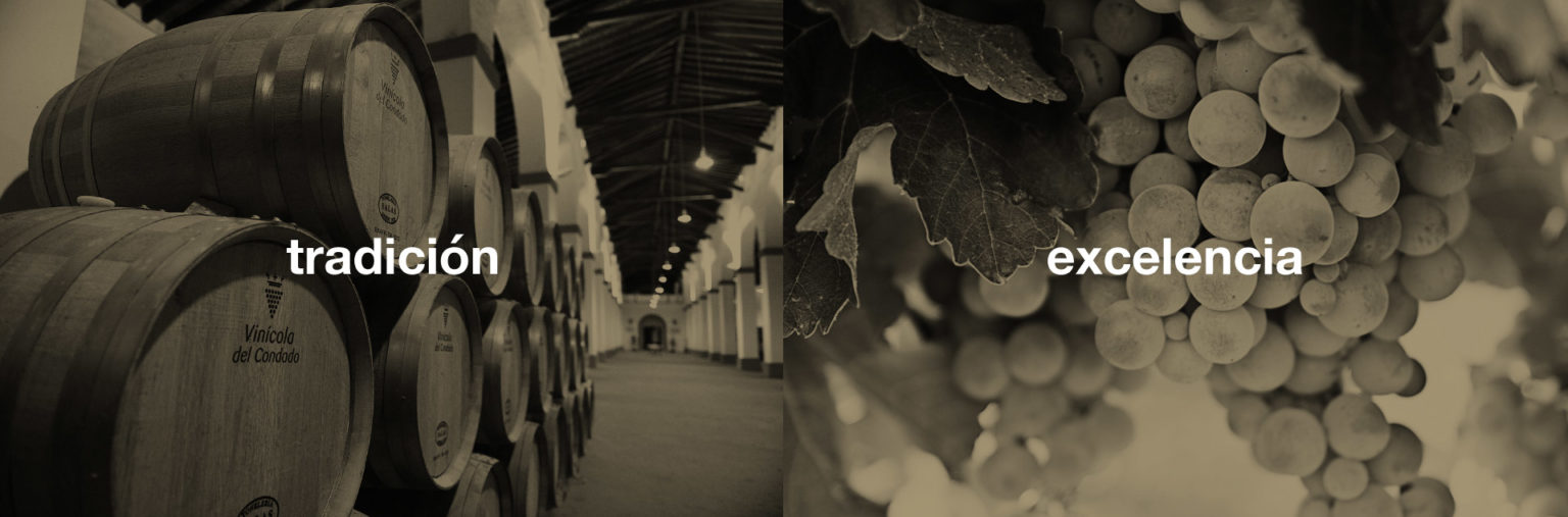 Concepto Vinos Mioro