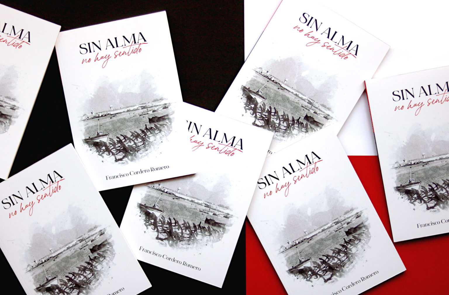 Libros 'Sin alma no hay sentido'